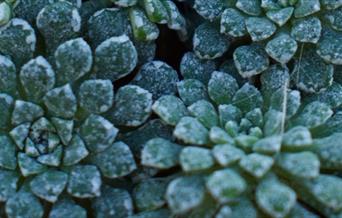 Terrazzo Plant Pot Workshop
