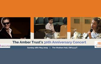 A banner for The Amber Trust's 30th Anniversary Concert, featuring a photo of Derek Paravicini, teenage Nikhil playing the drums, and young Lily singi