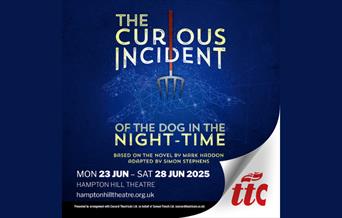 The Curious Incident