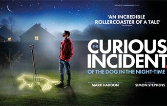 The Curious Incident of the Dog in the Night-Time