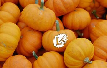 The Lensbury Halloween Spooktacular Party