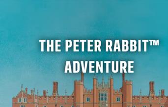 The Peter Rabbit Adventure