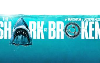 The Shark is Broken