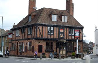 The Swan