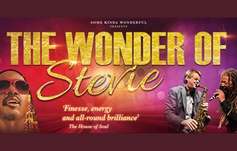 The Wonder of Stevie
