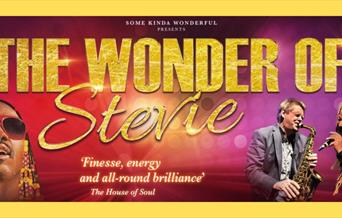 The Wonder of Stevie