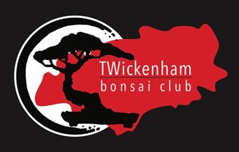 Twickenham Bonsai Club