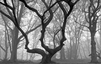 Photograph by Andrew Wilson