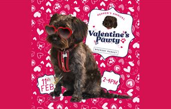 Valentines Pawty