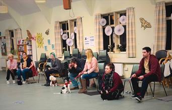 A dog training class in Teddington
