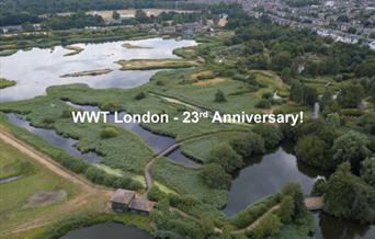 WWT London Anniversary