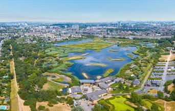 WWT from above