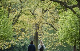 Walking