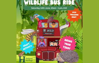 Children's Wildlife Bus Tour – Bring a Teddy