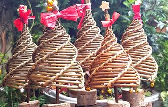 Willow Christmas trees