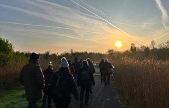 Winter Bird Walk