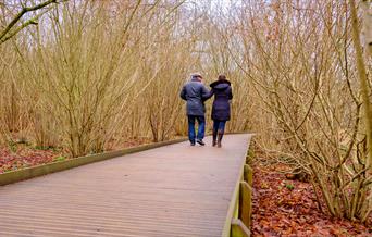 People walking along a woodland path.