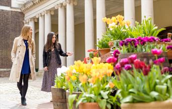 Two women admiring the Tulip planting in Clock Court, Hampton Court Palace