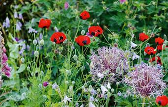 'A Year in Bloom' Book Event & Afternoon Tea with Lucy Bellamy