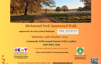 Richmond Park Walk Poster