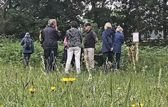 Walkers on Barnes Common