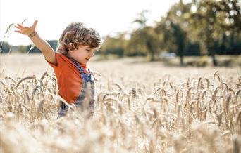 Caring For Little Minds: A Guide To Supporting Children's Mental Wellness