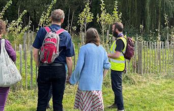 People looking at a group of young trees behind a fence