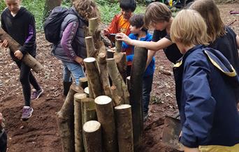Children building a stag beetle loggery