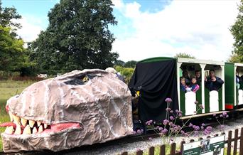 dino train with coaches