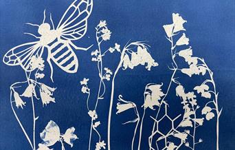 Cyanotype flowers
