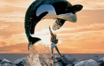 free_willy