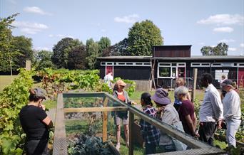 People in a garden