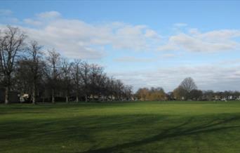 Landscape photo of Ham Common