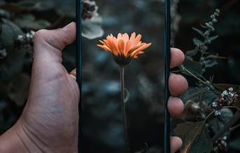 julius-drost-smartphone