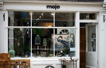 A front shot of Mojo
