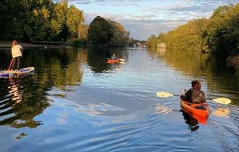 Paddle Board image