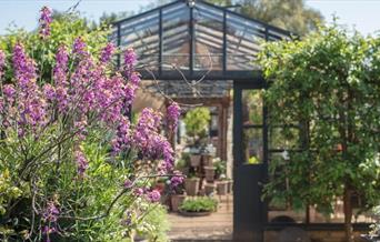 Outside shot of Petersham Nurseries