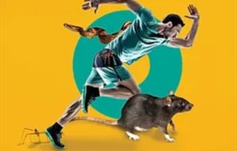 Animalympics with ZooLab