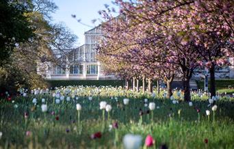 Kew Gardens