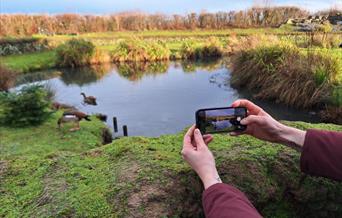 Smart Phone Photography  - wwt