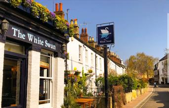 the white swan
