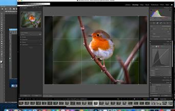 Photography in Nature: Jackie Rado