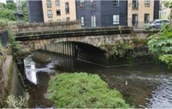 River Crane