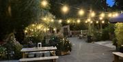 THE HAND AND FLOWER outdoor area at night