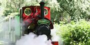 Darent in steam on track