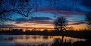 Landscape photo of Bushy Park