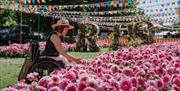 Hampton Court Flower show event pictures