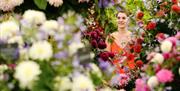 Hampton Court Flower show event pictures