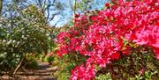 A beautiful shot of a flower