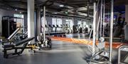 Majestic Fitness Gym Inside Equipment